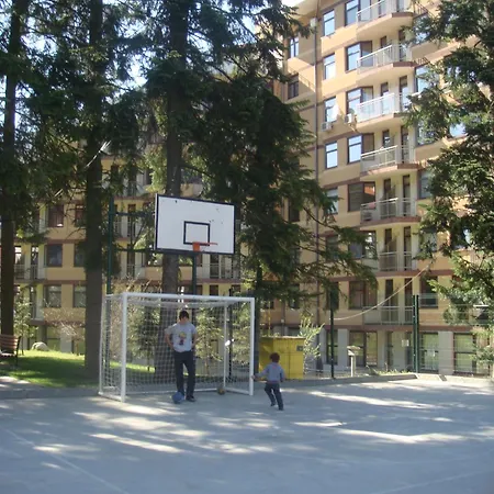 Flora-daisy Borovets