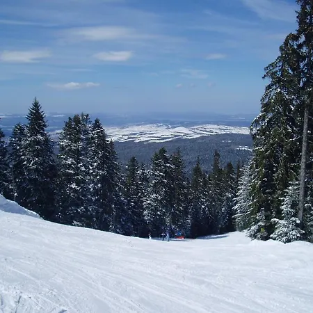 Flora-daisy Appart hôtel