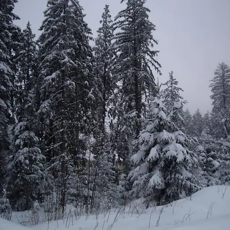 Appart hôtel Flora-daisy 3*