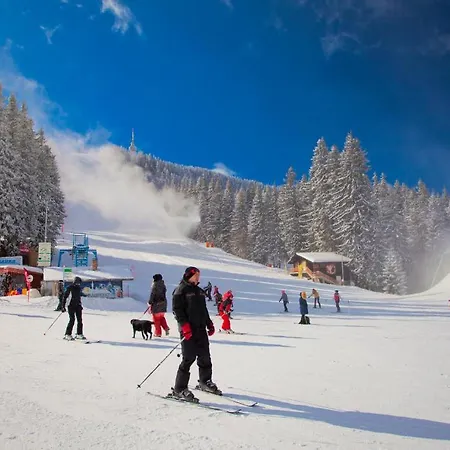 Flora-daisy Aparthotel 3*