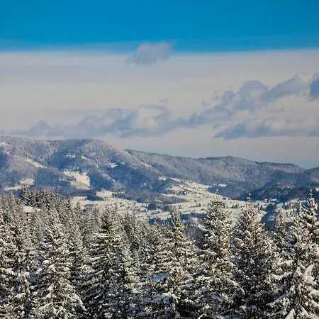 Aparthotel Flora-daisy Borovets