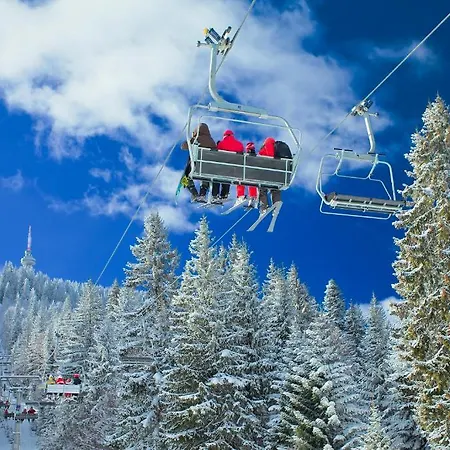 Flora-daisy Lägenhetshotell