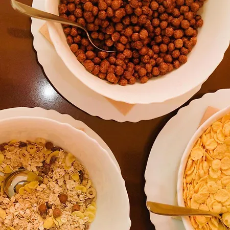 Flora-daisy Borovets