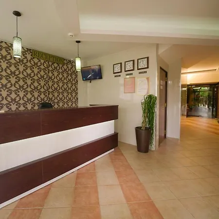 Flora-daisy Borovets