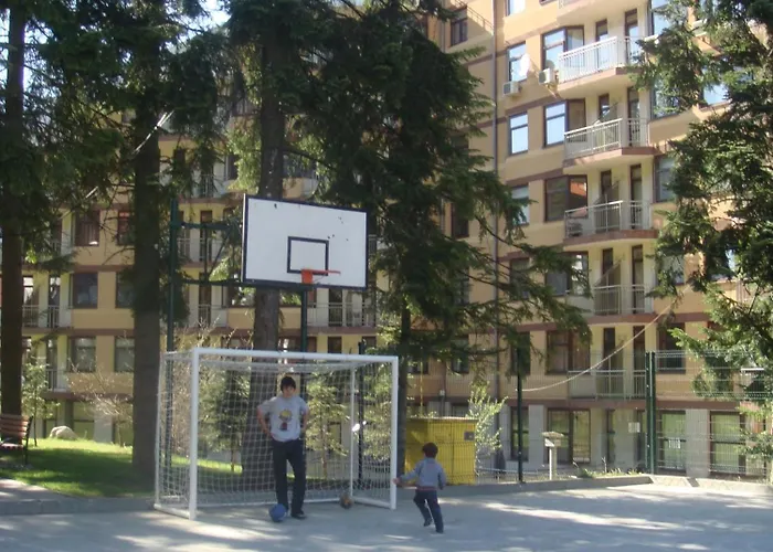 Flora-daisy Borovets