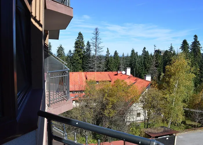 מלון דירות Flora-daisy בורובץ