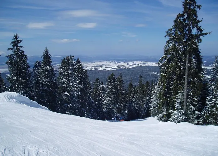 Flora-daisy מלון דירות