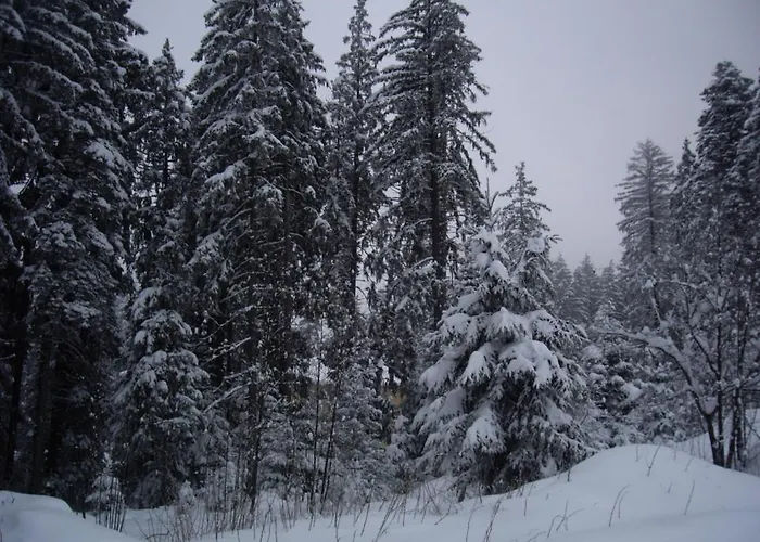 Lägenhetshotell Flora-daisy 3*