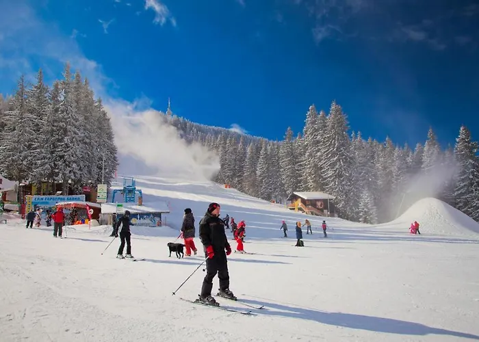 Flora-daisy Lägenhetshotell 3*