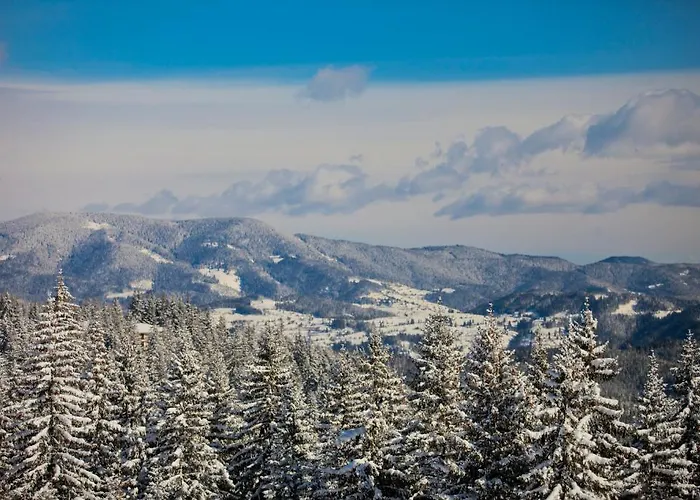 מלון דירות Flora-daisy בורובץ