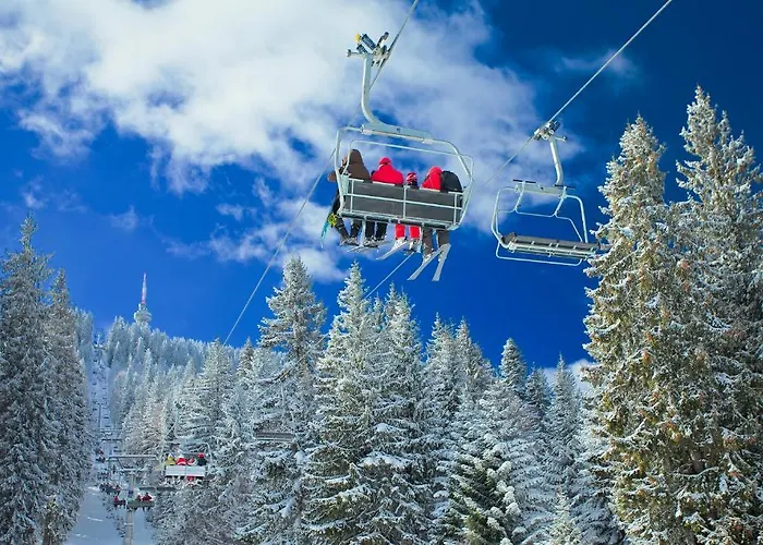 Flora-daisy Lägenhetshotell